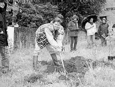 Plantando arboles en Domingo Lumbier