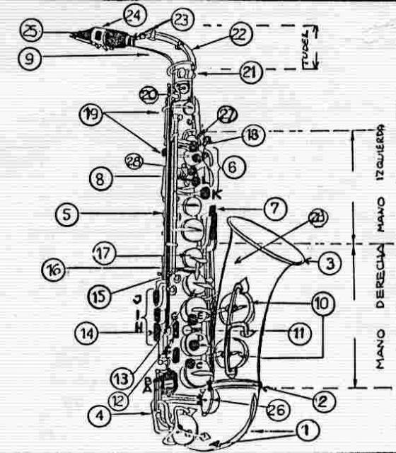 saxo