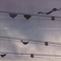 10.Colgados de los cables 2. 25/10/95